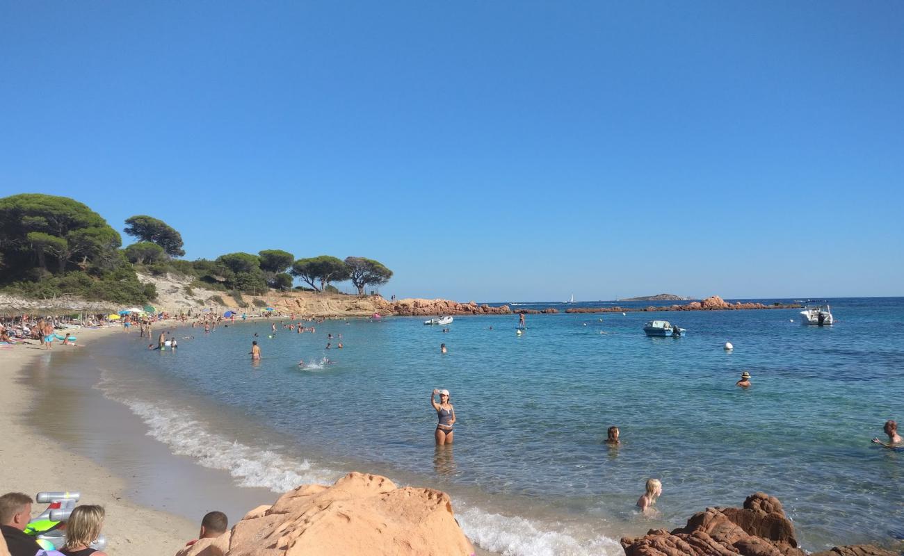 Фото Plage de Palombaggia с светлый песок поверхностью