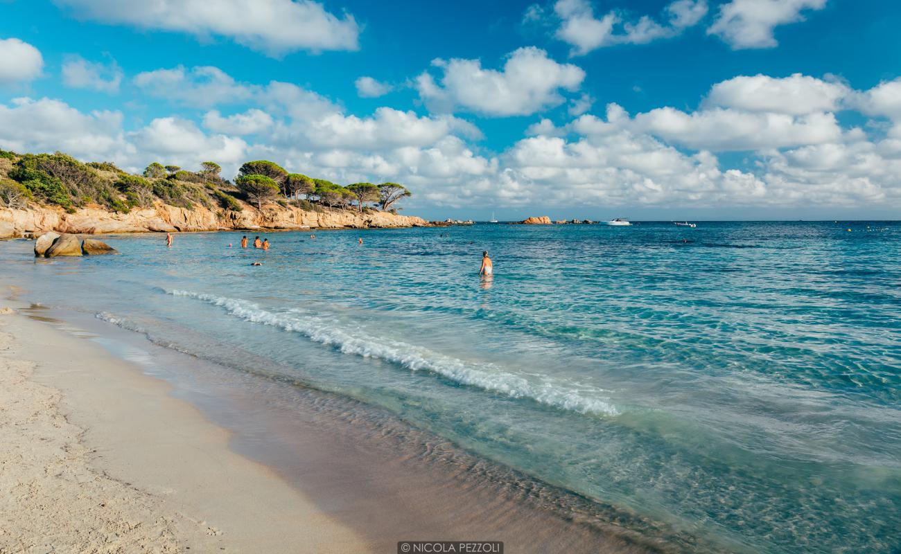 Фото Plage d'Acciaju с светлый песок поверхностью