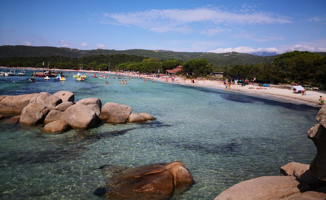 Фото Plage de Santa Giulia с светлый песок поверхностью