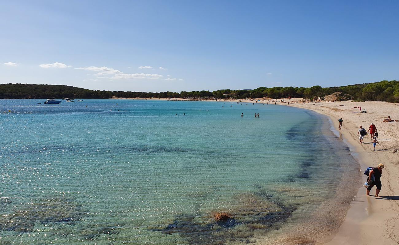 Фото Plage de Rondinara с светлый песок поверхностью