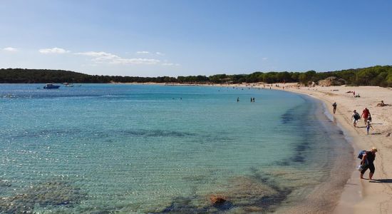 Plage de Rondinara