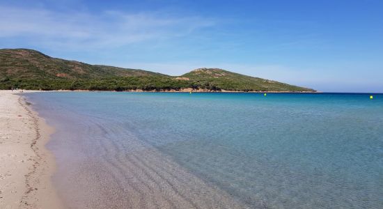 Plage de Balistra