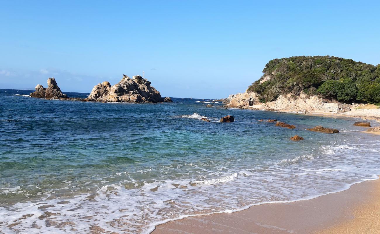 Фото Plage de Cala Sciumara с светлый песок поверхностью