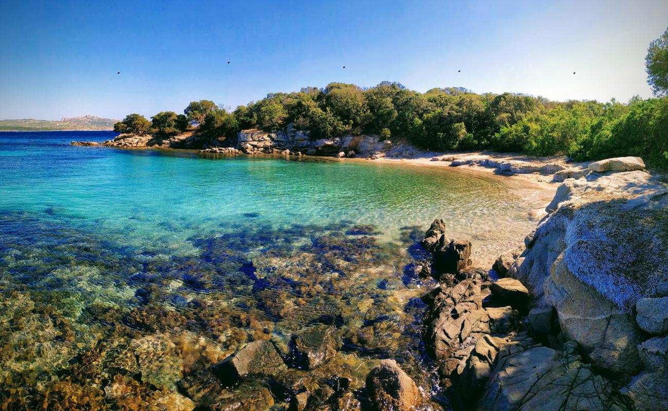 Фото La Testa beach с светлый песок поверхностью