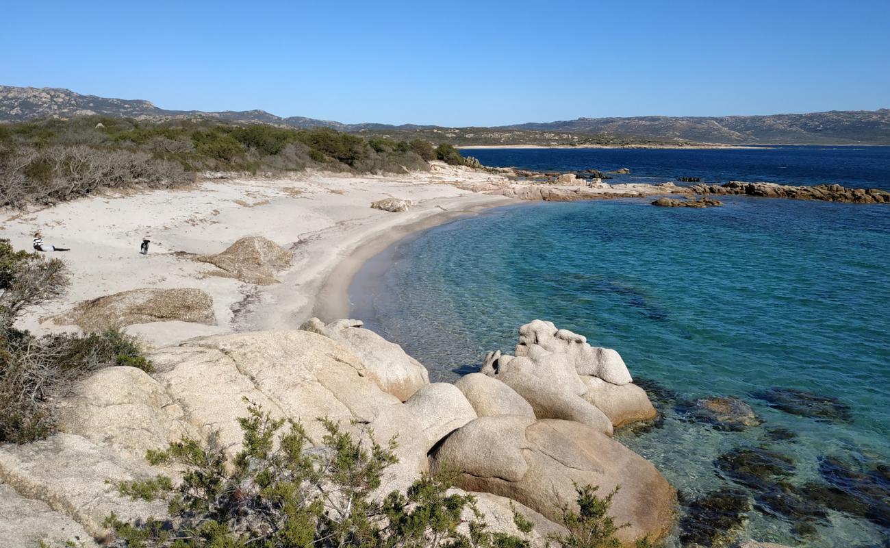 Фото La Testa beach II с светлый песок поверхностью