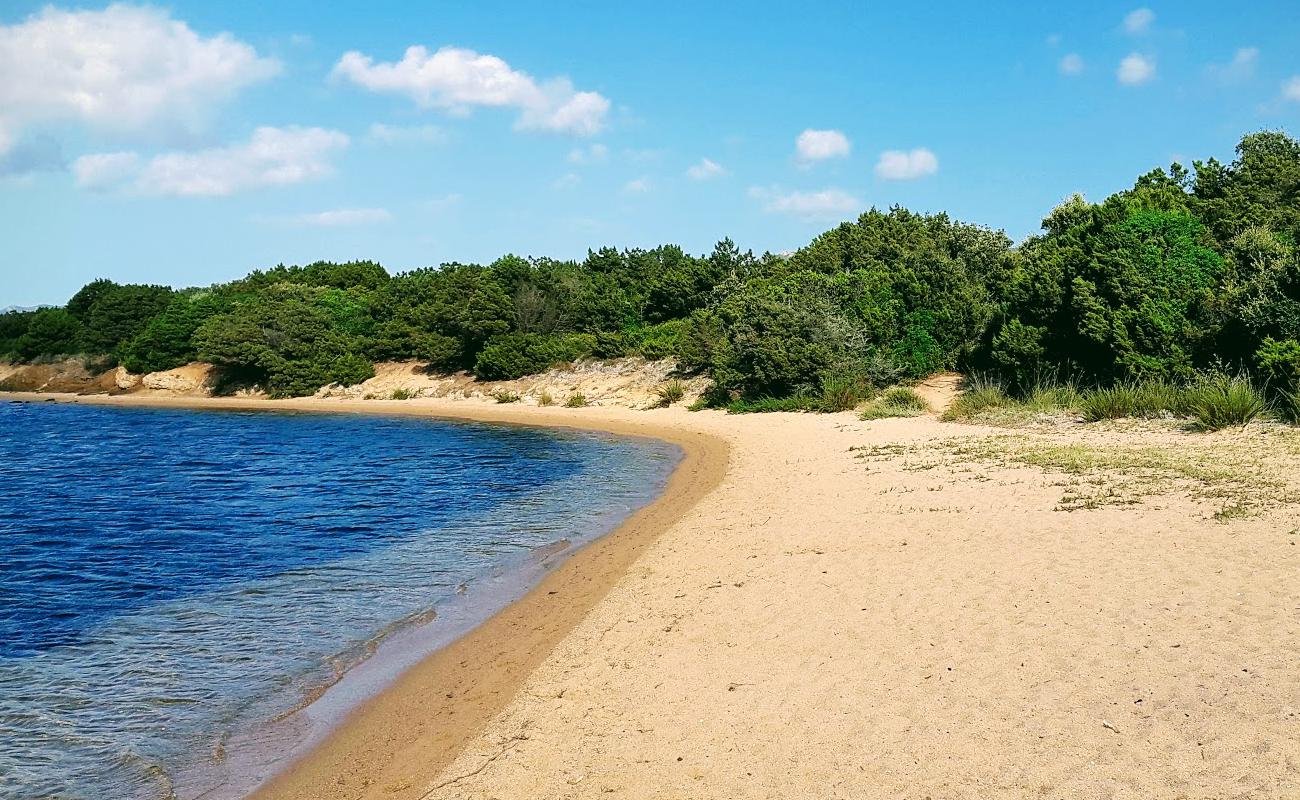 Фото Figari beach с золотистый песок поверхностью