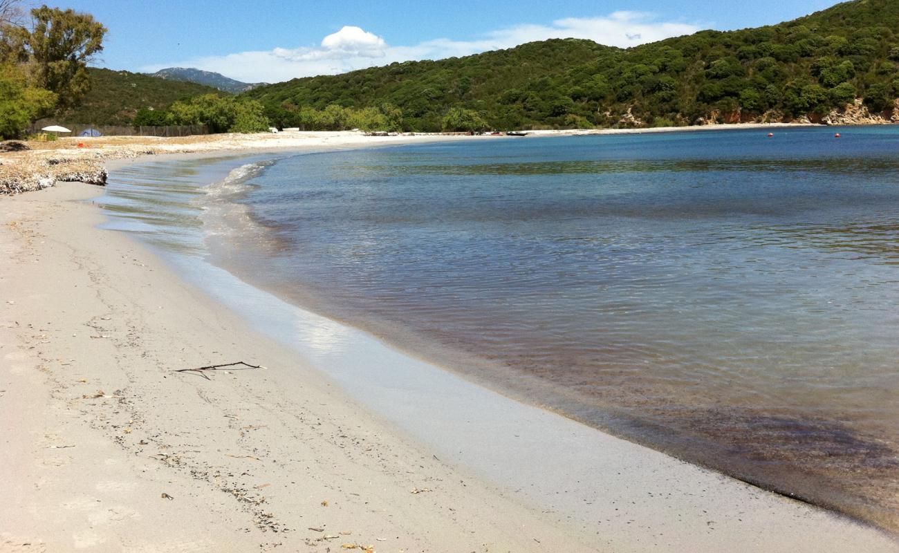 Фото Plage de Furnellu II с светлый песок поверхностью