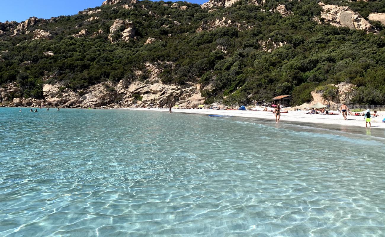 Фото Plage De Roccapina с светлый песок поверхностью