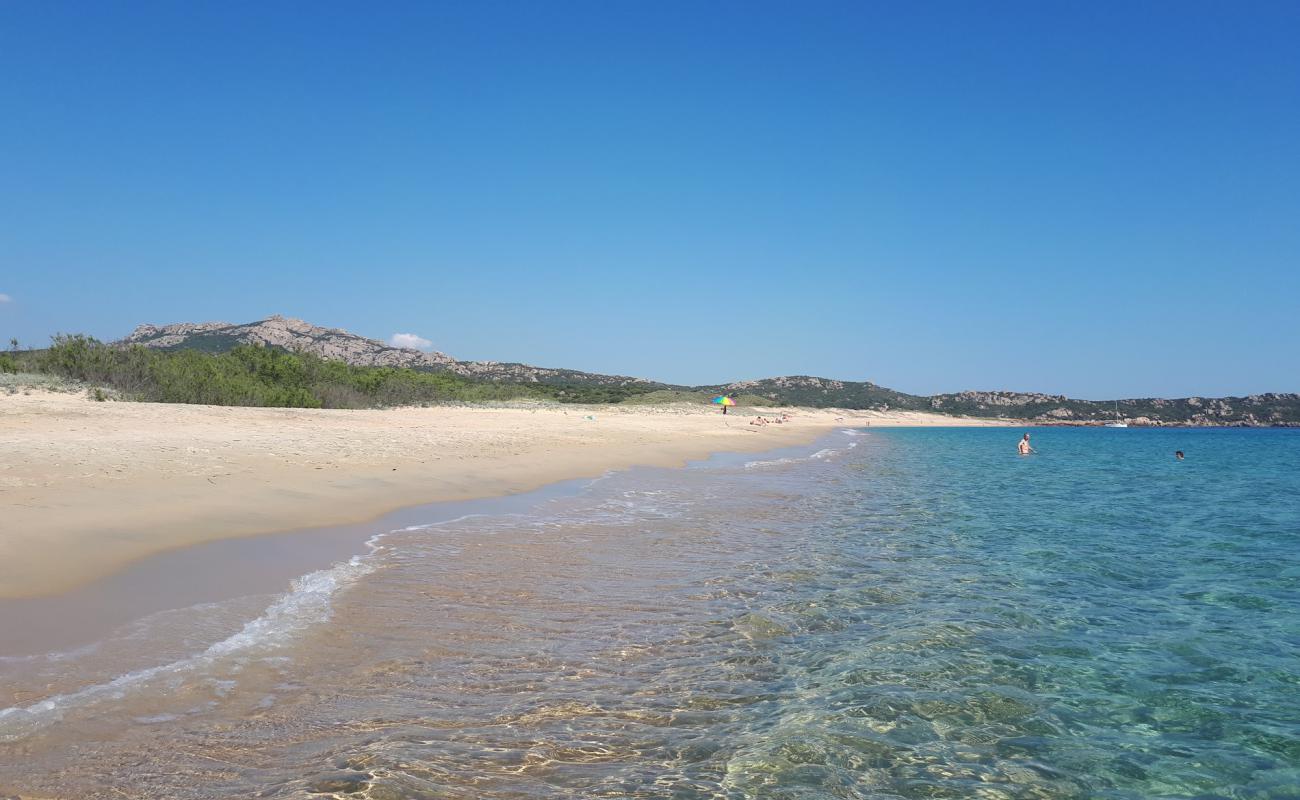 Фото Tralicetu beach с золотистый песок поверхностью