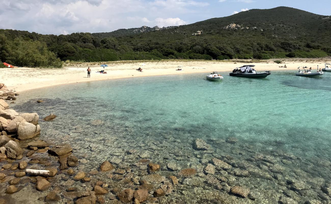 Фото Cala di Conca с светлый песок поверхностью