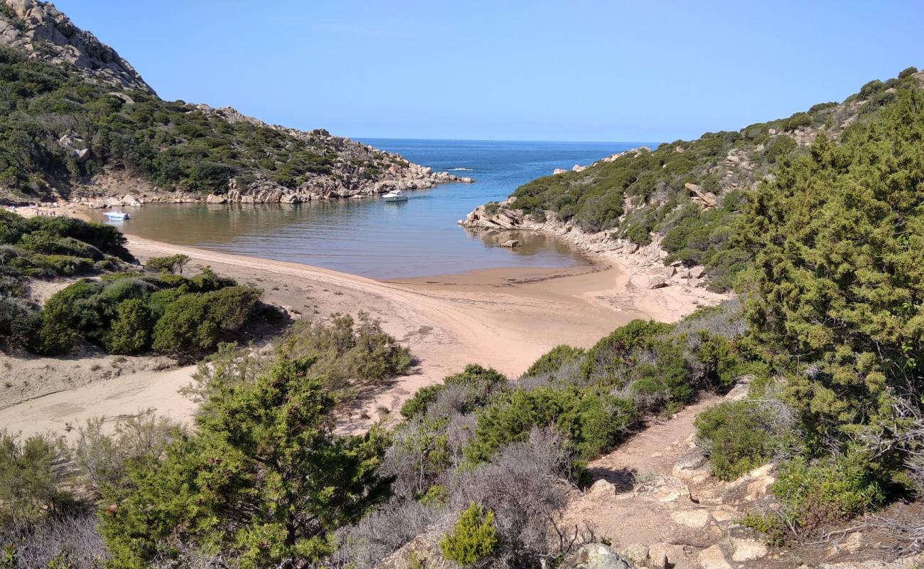 Фото Cala D'agulia с золотистый песок поверхностью