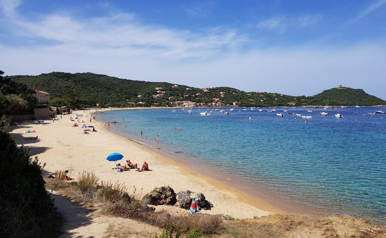 Фото Plage de Campomoro с светлый песок поверхностью