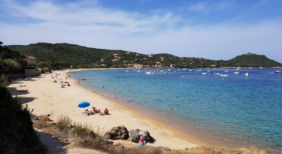 Plage de Campomoro