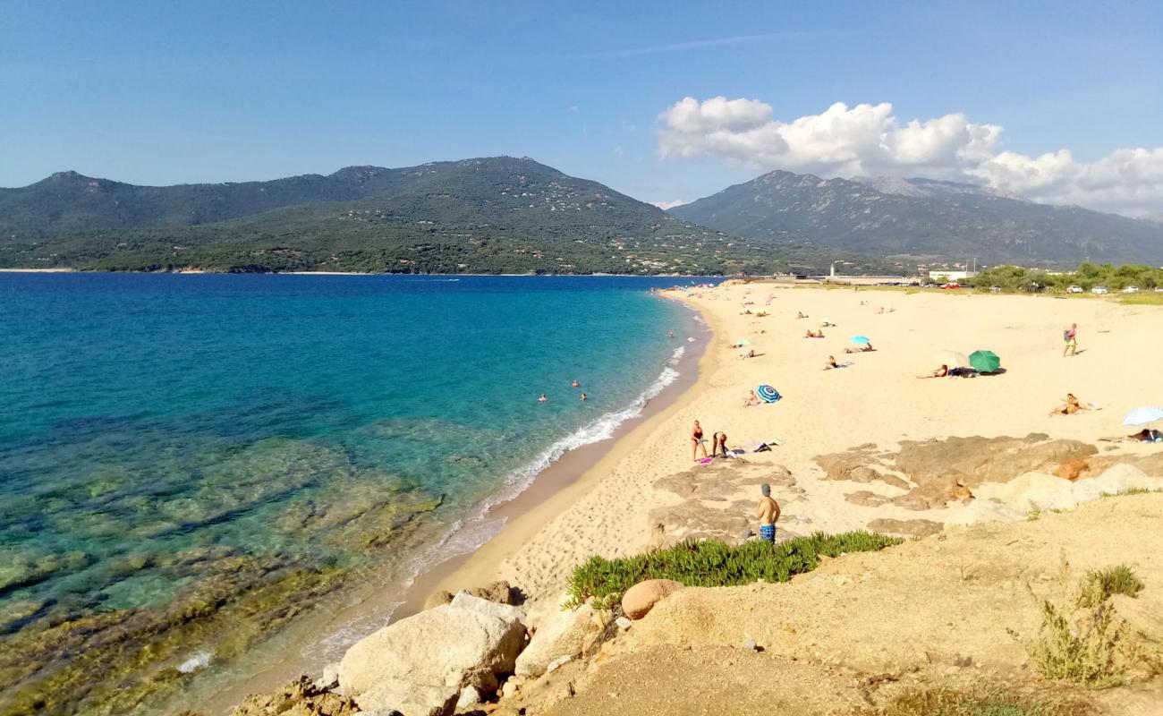 Фото Purraja beach с золотистый песок поверхностью