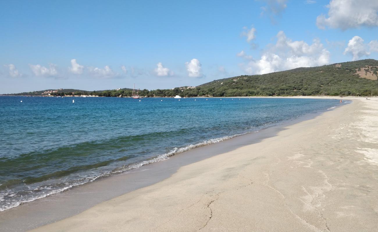 Фото beach of Taravo с золотистый песок поверхностью