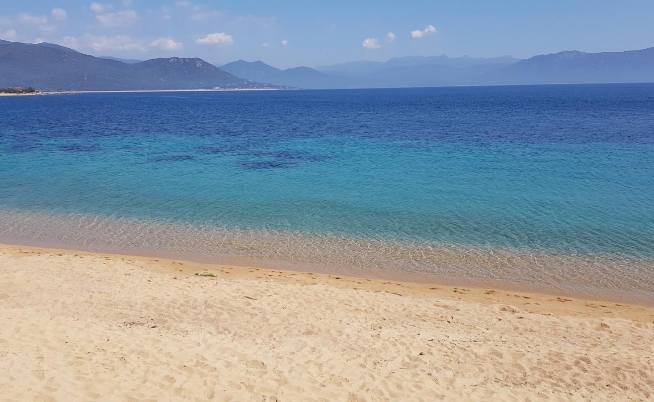 Фото Porto Pollo beach с золотистый песок поверхностью