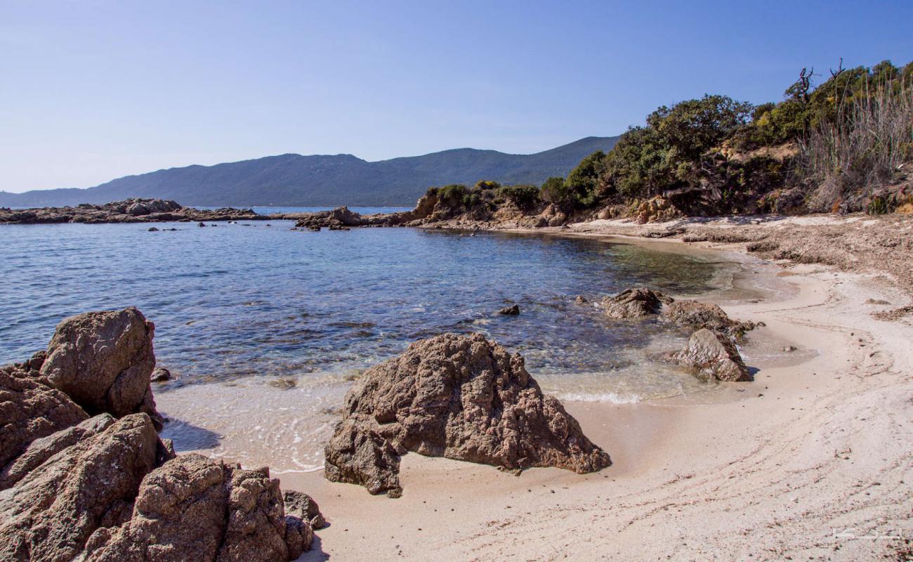 Фото Capanella beach с песок с камнями поверхностью