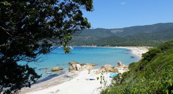 Plage De Cupabia