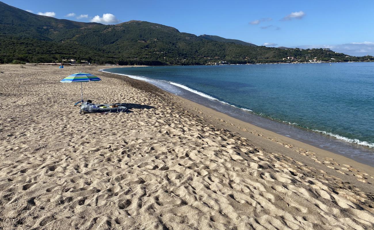 Фото Stagnone beach с золотистый песок поверхностью