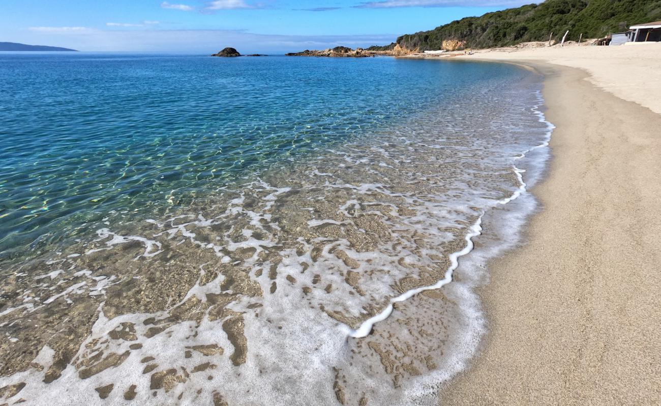 Фото Liamone beach с золотистый песок поверхностью