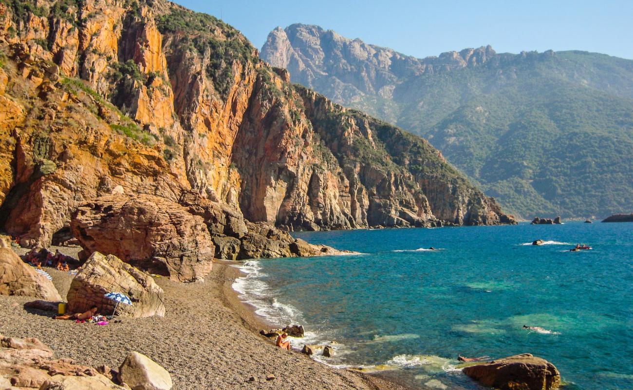 Фото Bussaglia beach с темная галька поверхностью