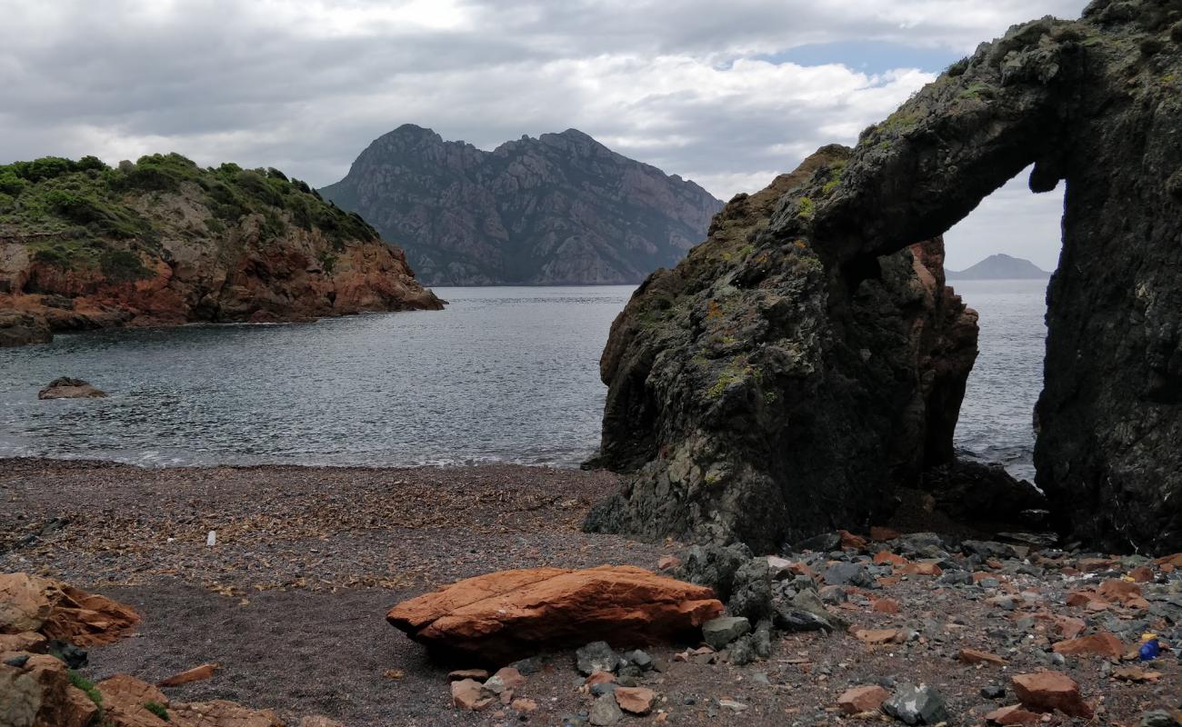 Фото Cavone beach с серая галька поверхностью