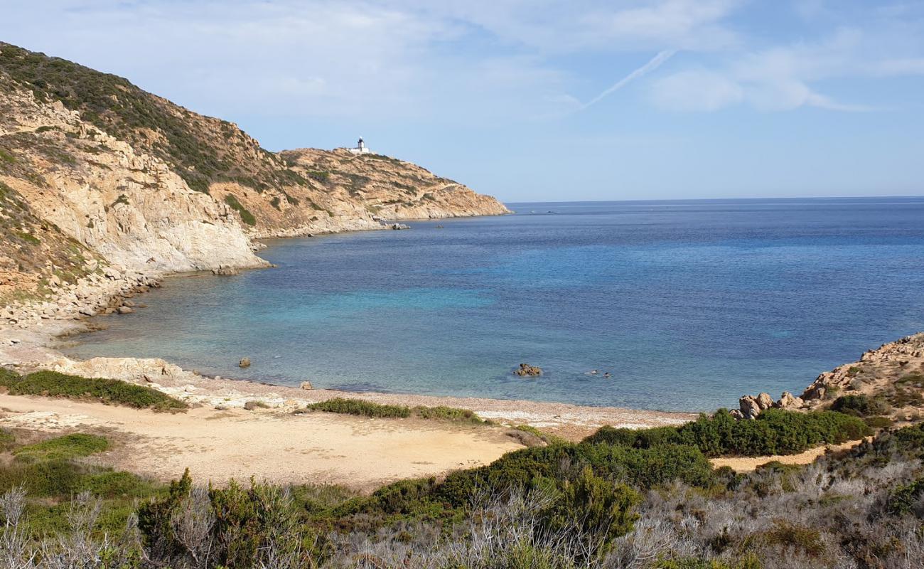 Фото Oscelluccia beach с светлая галька поверхностью