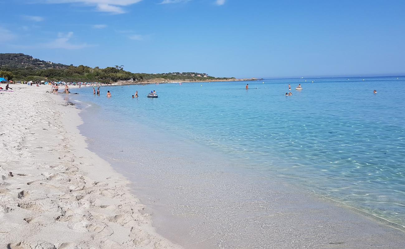 Фото Ghjunchitu beach с золотистый песок поверхностью