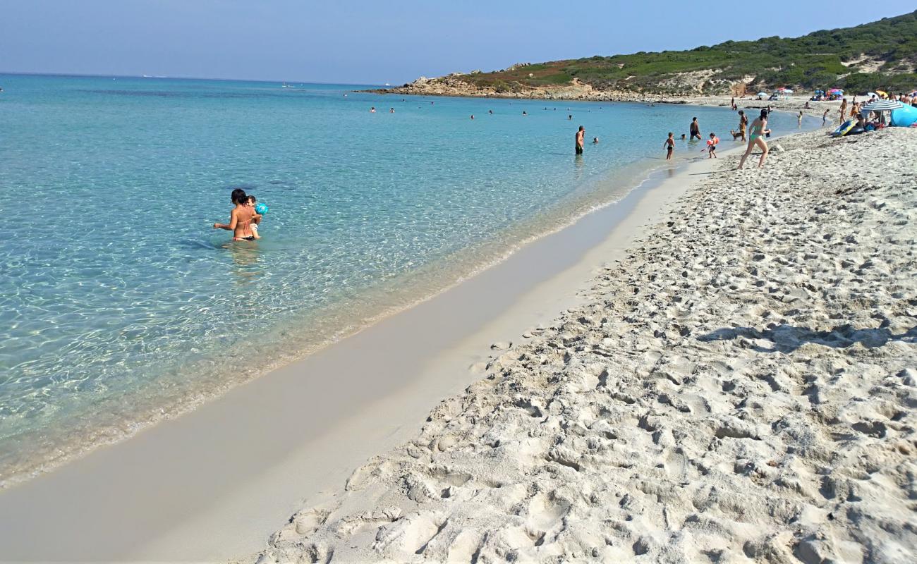 Фото Plage de Bodri с золотистый песок поверхностью