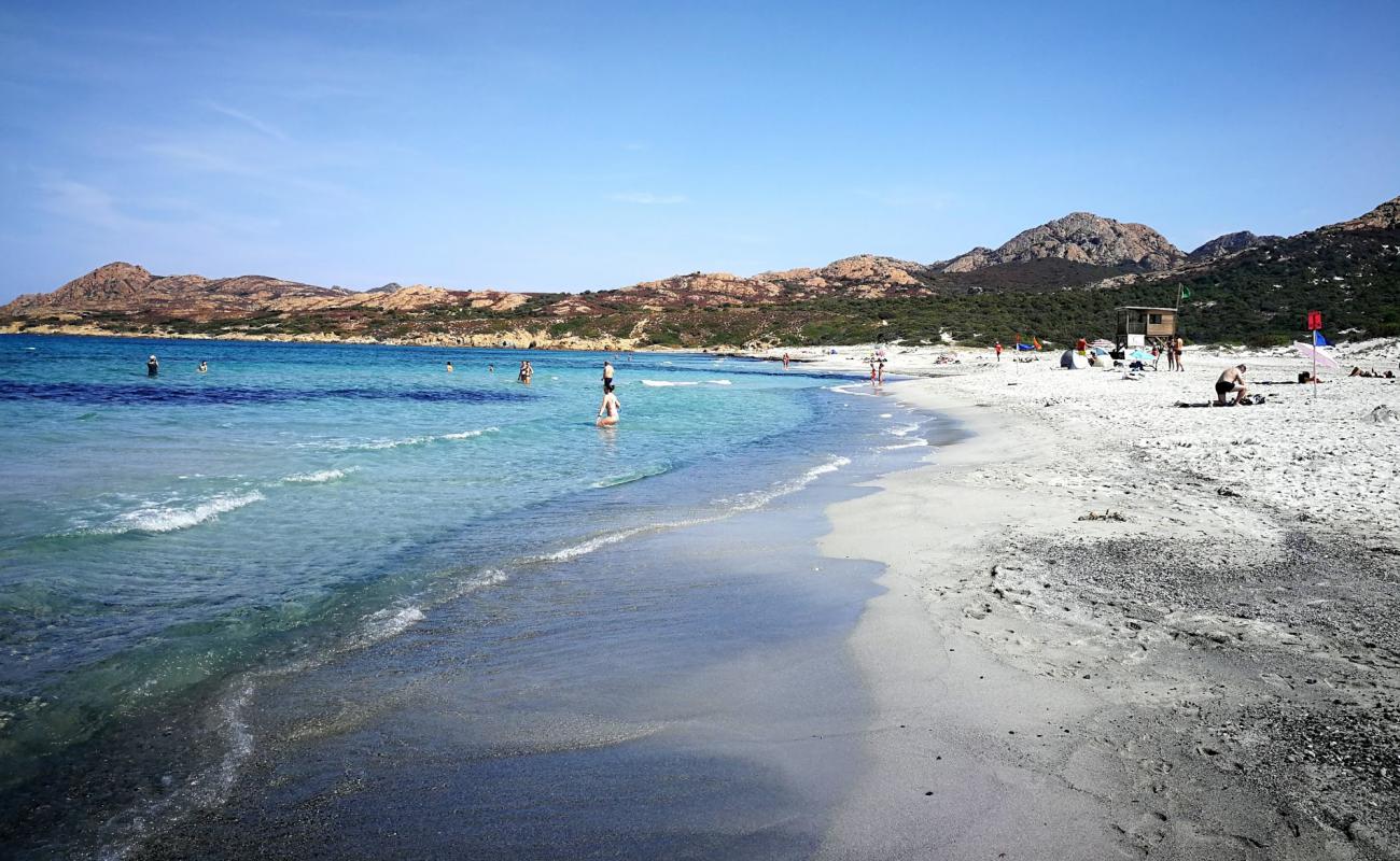 Фото Plage De L'Ostriconi с светлый песок поверхностью