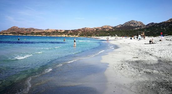 Plage De L'Ostriconi