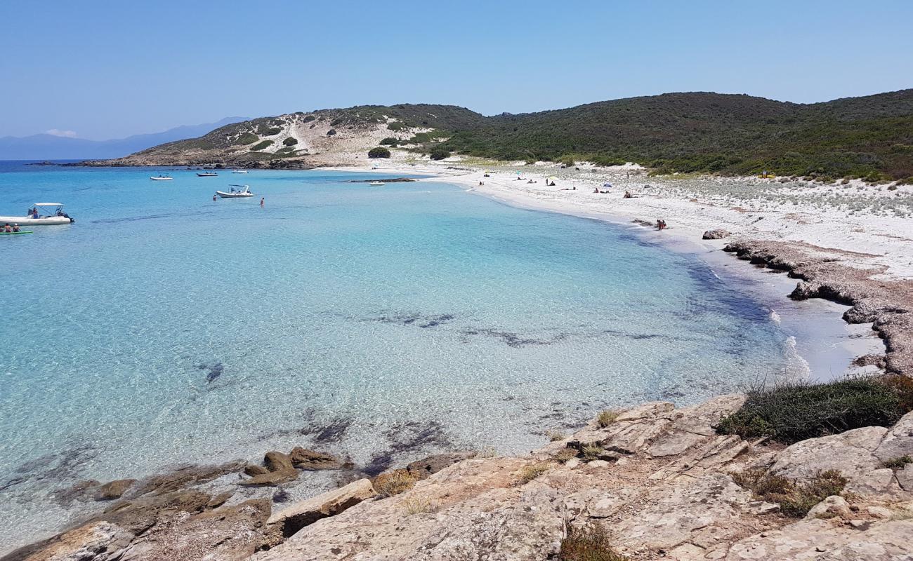 Фото Ghignu beach с светлый песок поверхностью