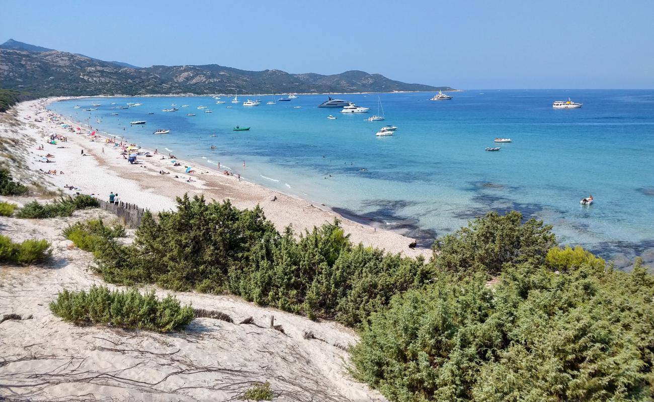 Фото Plage De Saleccia с золотистый песок поверхностью