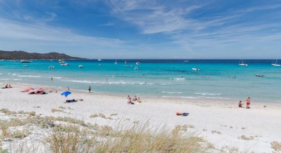 Plage De Saleccia