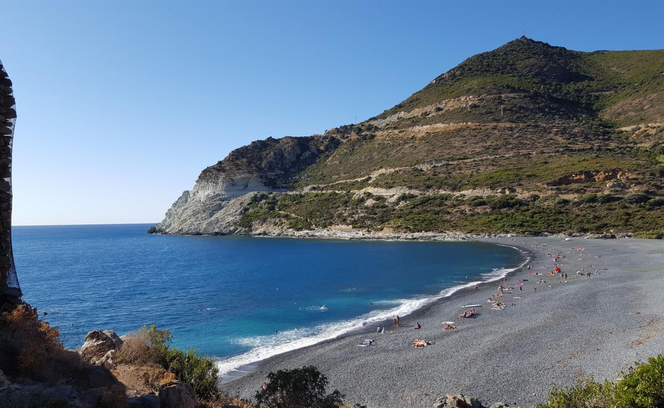 Фото D'Albo beach с серая галька поверхностью