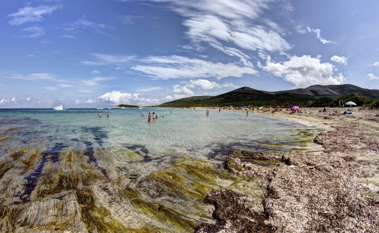 Фото Barcaggio beach с светлый песок поверхностью