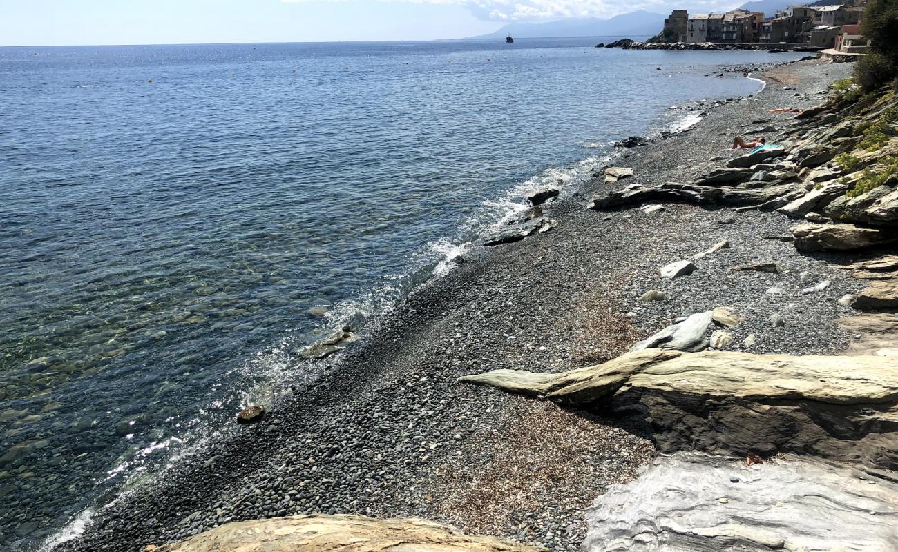 Фото Erbalunga beach с серая галька поверхностью