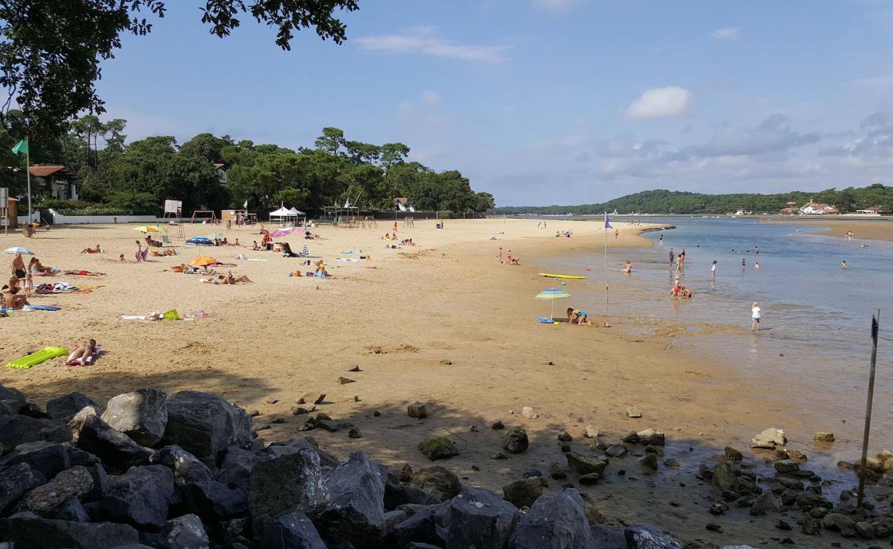 Фото Plage des Chenes-Lieges с светлый песок поверхностью