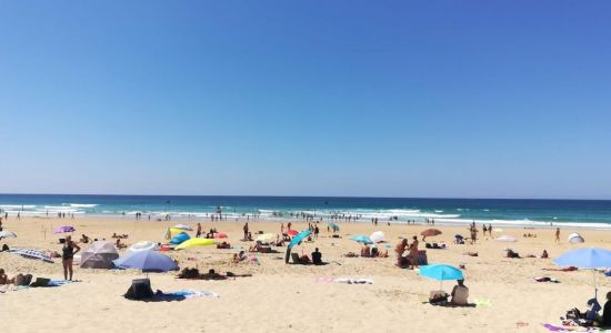 Plage de Biscarrosse