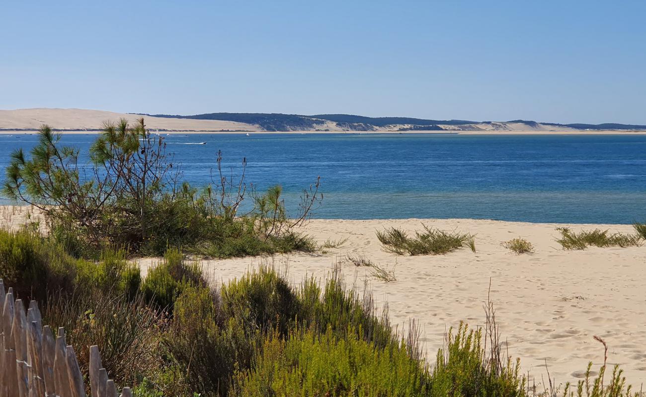 Фото Pointe du Cap Ferret с белый песок поверхностью