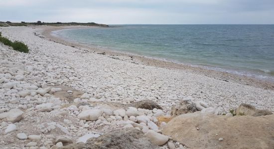 Plage Du Roux