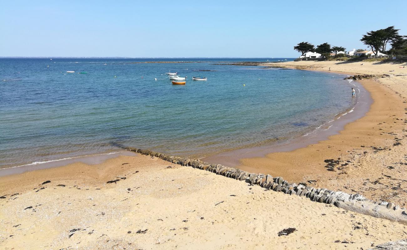 Фото Madeleine beach с белый песок поверхностью