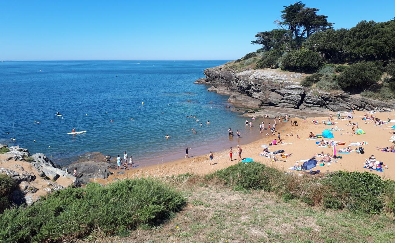 Фото Porteau beach с светлый песок поверхностью