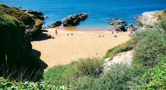 La Gauviniere beach