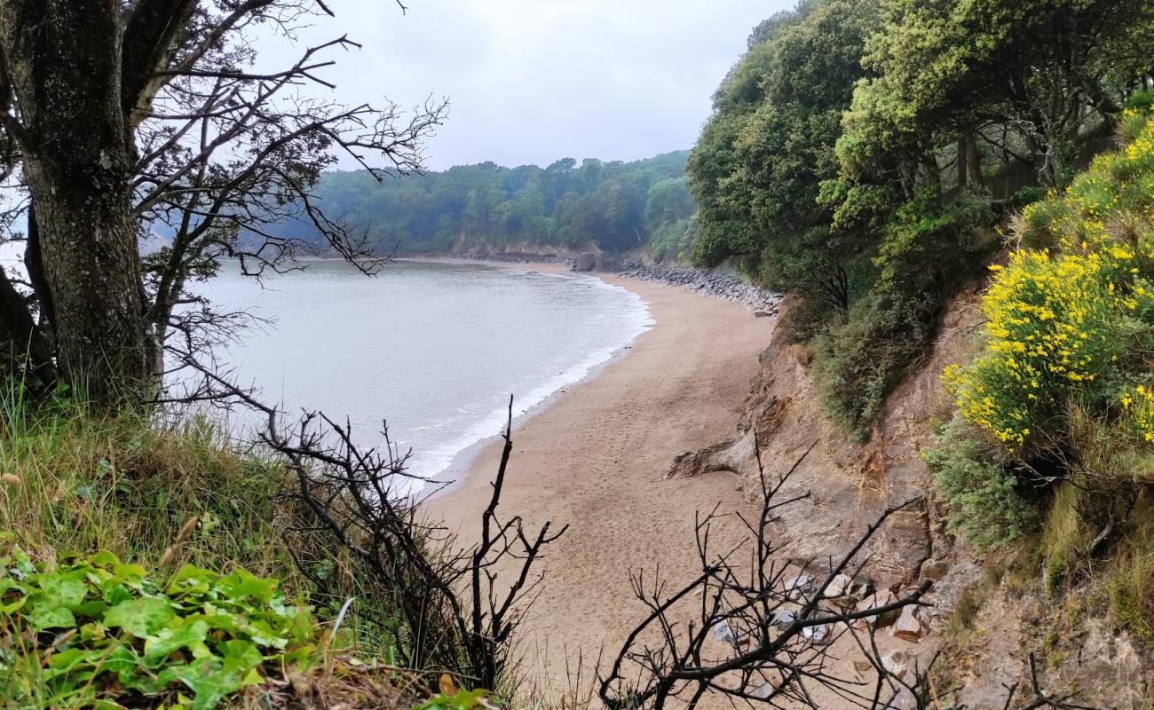 Фото Bonne Anse beach с песок с камнями поверхностью