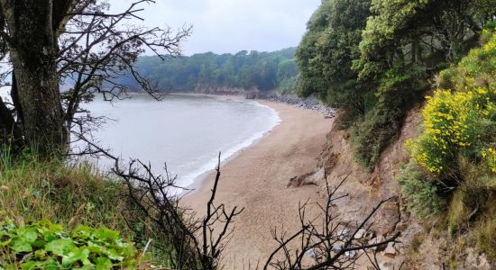 Bonne Anse beach