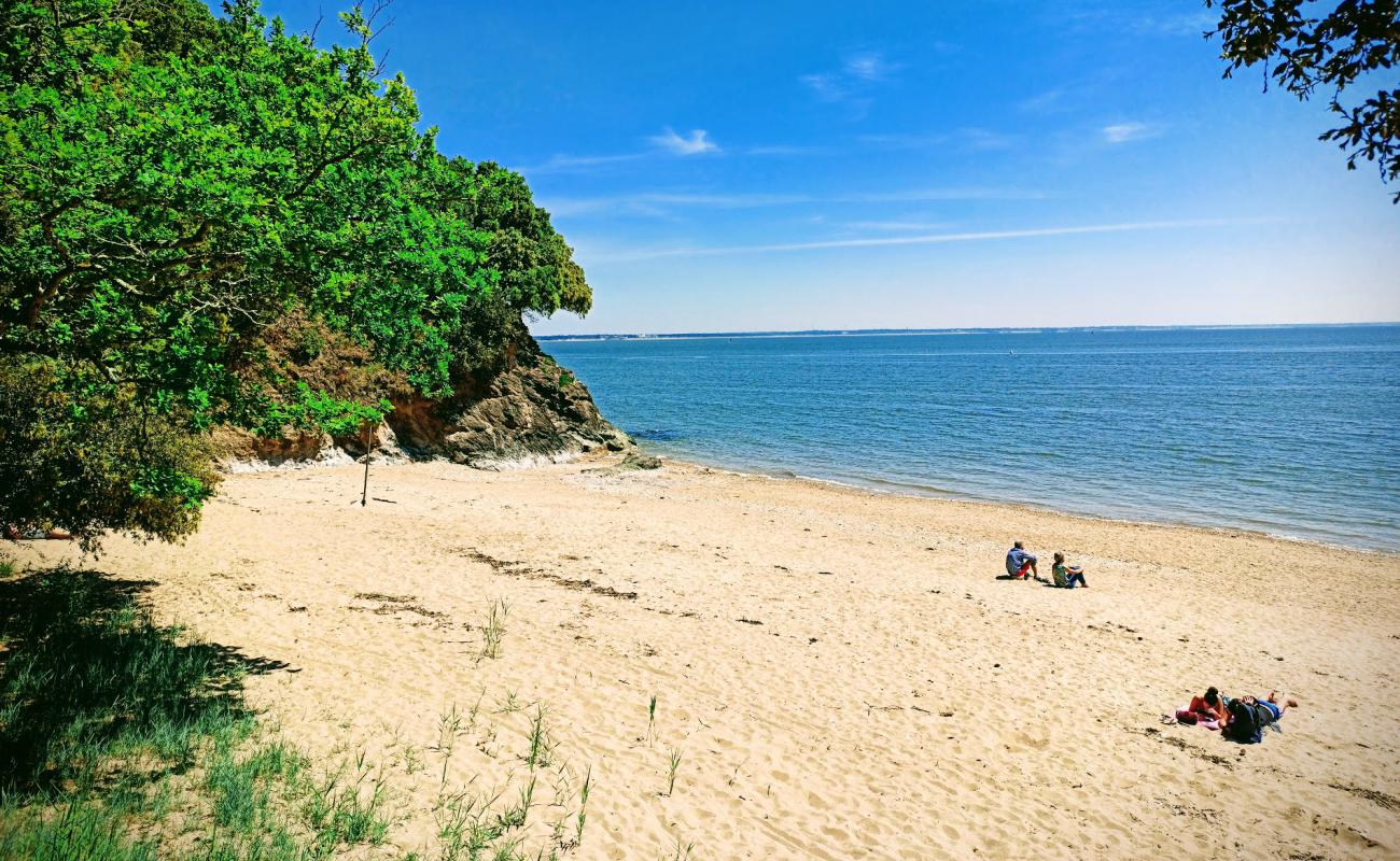 Фото Porce beach с светлый песок поверхностью