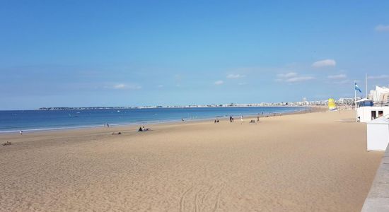 Booksellers beach