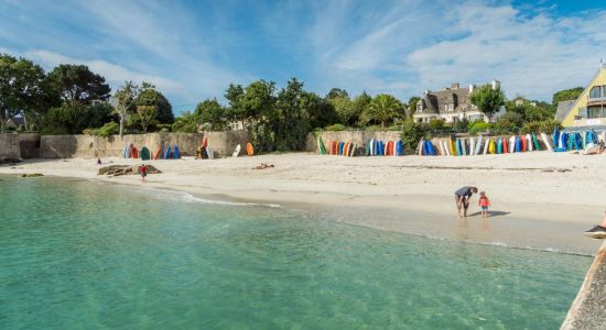 Plage des Oiseaux II