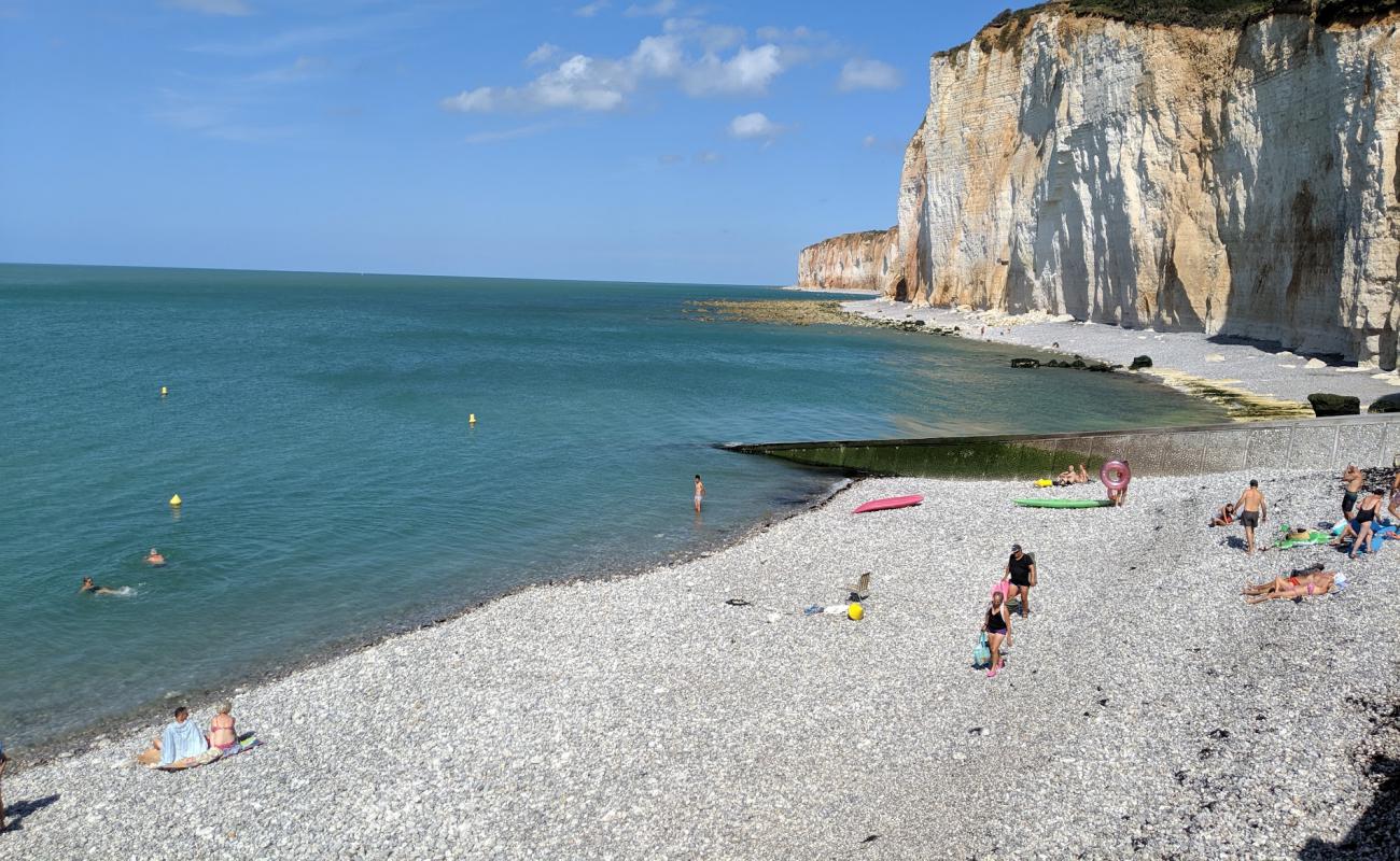 Фото Plage des Grandes Dalles с камни поверхностью